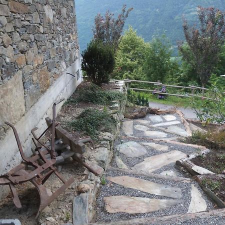 Agriturismo Al Castagneto Villa Mazzo di Valtellina Dış mekan fotoğraf