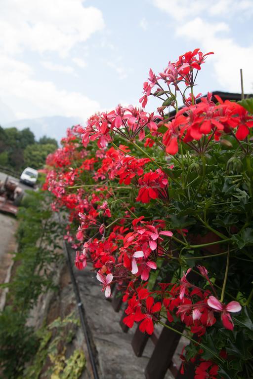 Agriturismo Al Castagneto Villa Mazzo di Valtellina Dış mekan fotoğraf