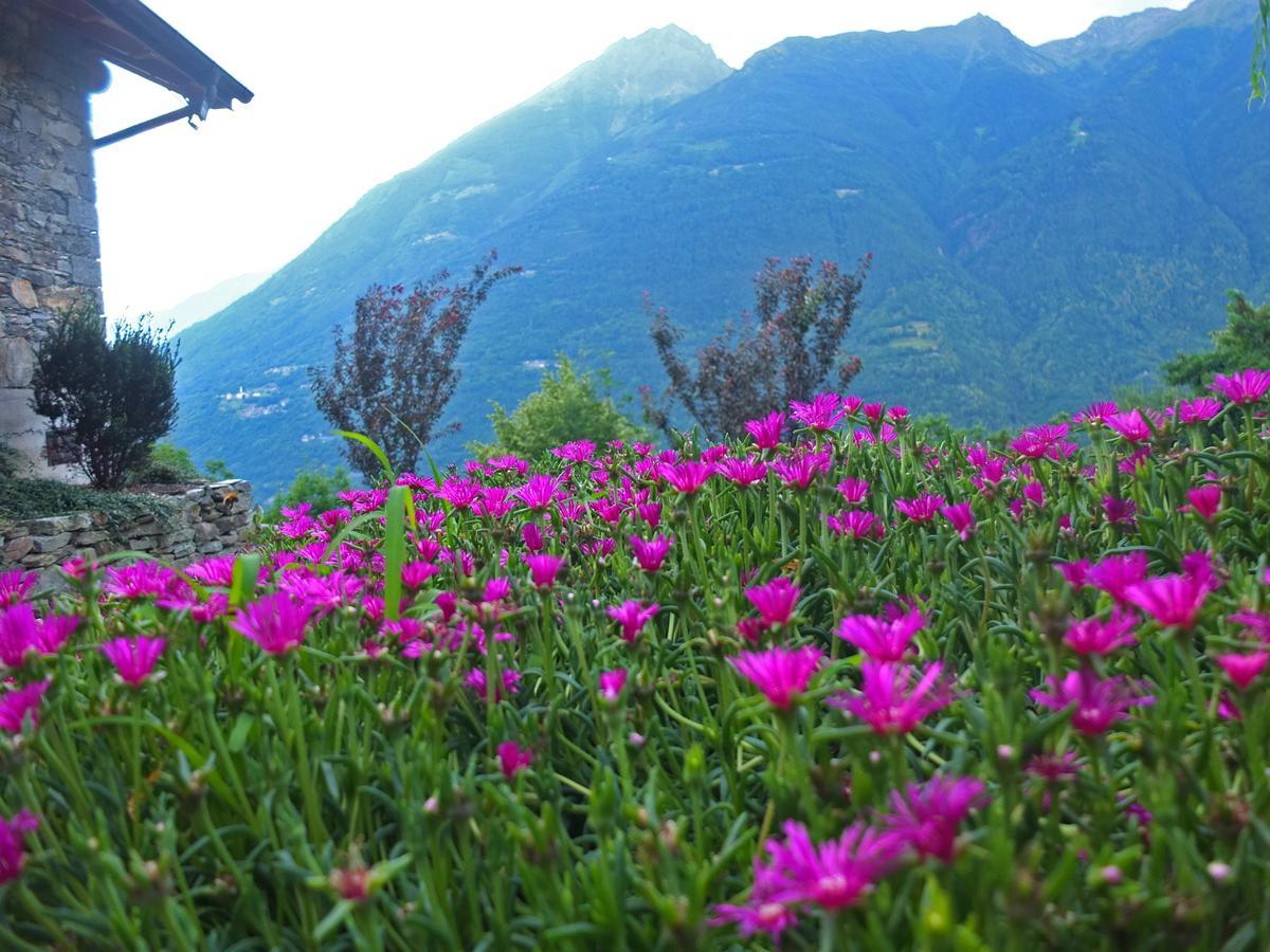 Agriturismo Al Castagneto Villa Mazzo di Valtellina Dış mekan fotoğraf