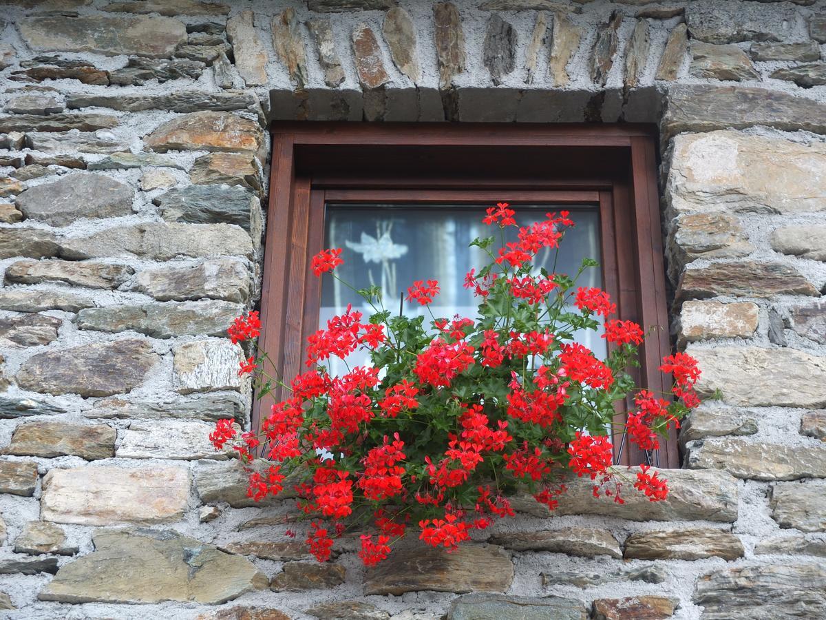 Agriturismo Al Castagneto Villa Mazzo di Valtellina Dış mekan fotoğraf